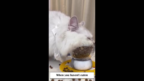 When you haven't eaten 😂