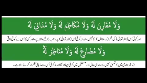 Beautiful Qur'an Recitation