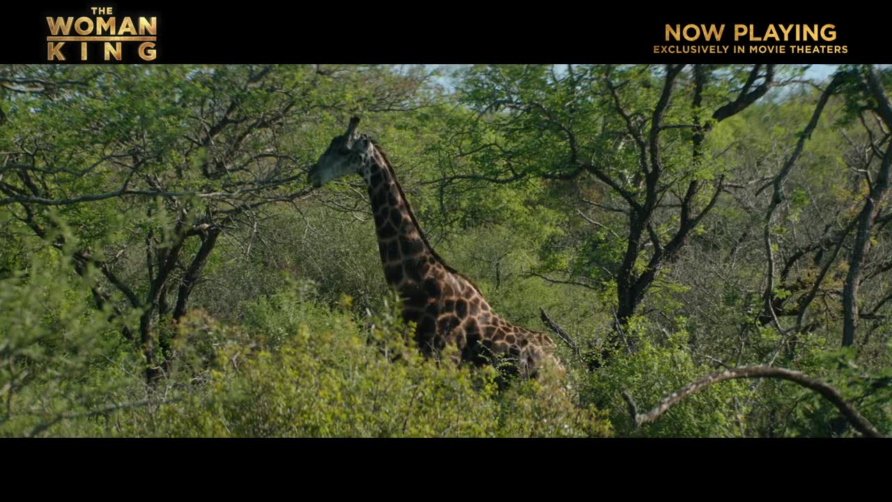 THE WOMAN KING - Filming in South Africa