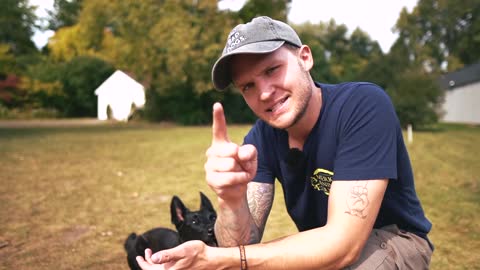 Tough Dog Case! Small Dog is INSANE!