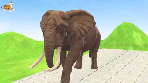 Don't Choose The Wrong Key With Elephant, Cow, Tiger, Gorilla