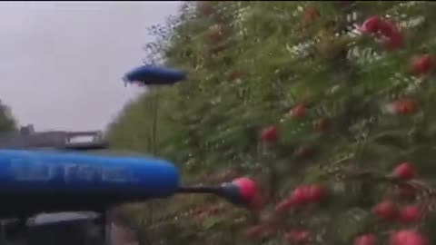 Drones are now picking apples!