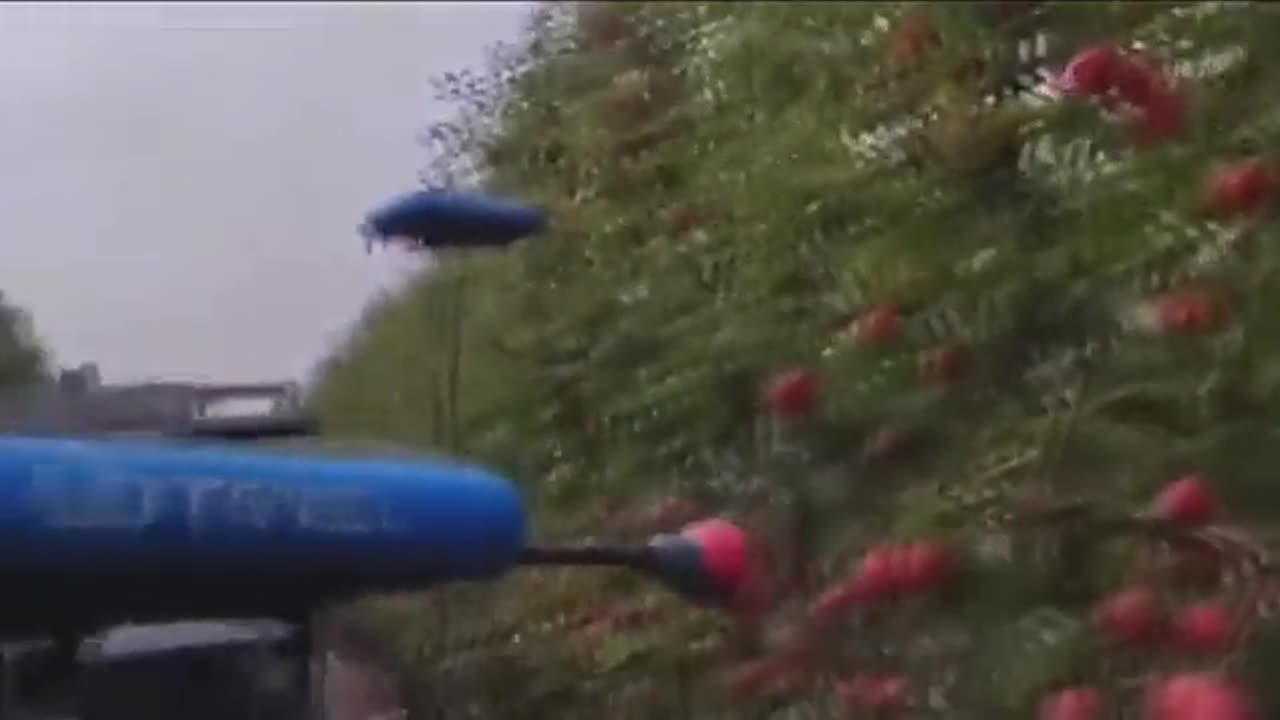 Drones are now picking apples!