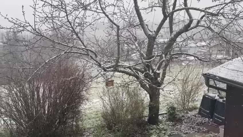 It's snowing...