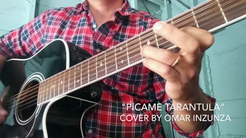 Picame Tarantula Requinto/Guitarra de 12 Cuerdas Miguel y Miguel