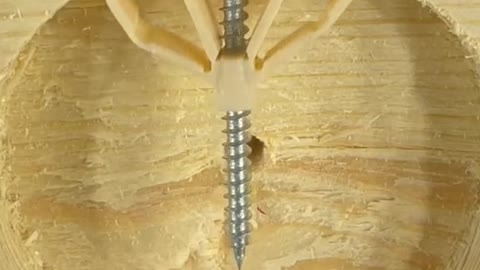 The internal embodiment of the expansion screw