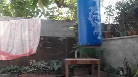 Funny Video 1