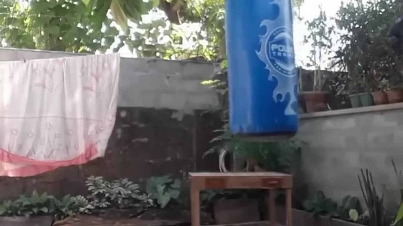 Funny Video 1