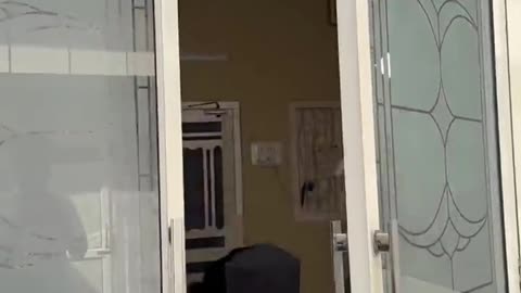 End tak zarur dekhna😂🤣 #trending #comedy #funny #viral #shorts