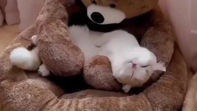 Lovely Nest