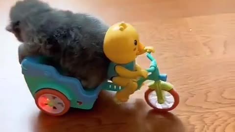 Gat his ass off tha road!!