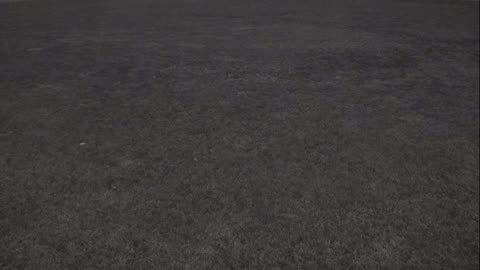 7231USCG00EastFrontHouseEgg_2021-01-05_21h19min15s520ms.mp4