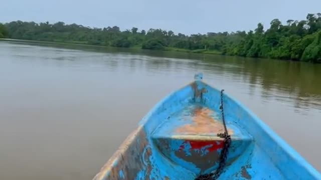 POV: You take a boat ride in Nicaragua but they forget to tell you it's crocodile infested