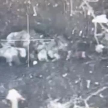 Drone Footage Shows Dozens of Russian Soldiers lay Dead