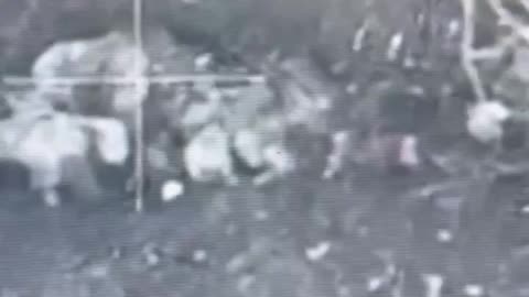 Drone Footage Shows Dozens of Russian Soldiers lay Dead