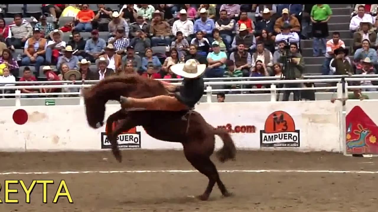 Festeja la Independencia de México en Cadereyta Papi TV Invita.