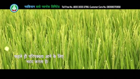 Vingro -G Navkisan bio plantic Ltd product