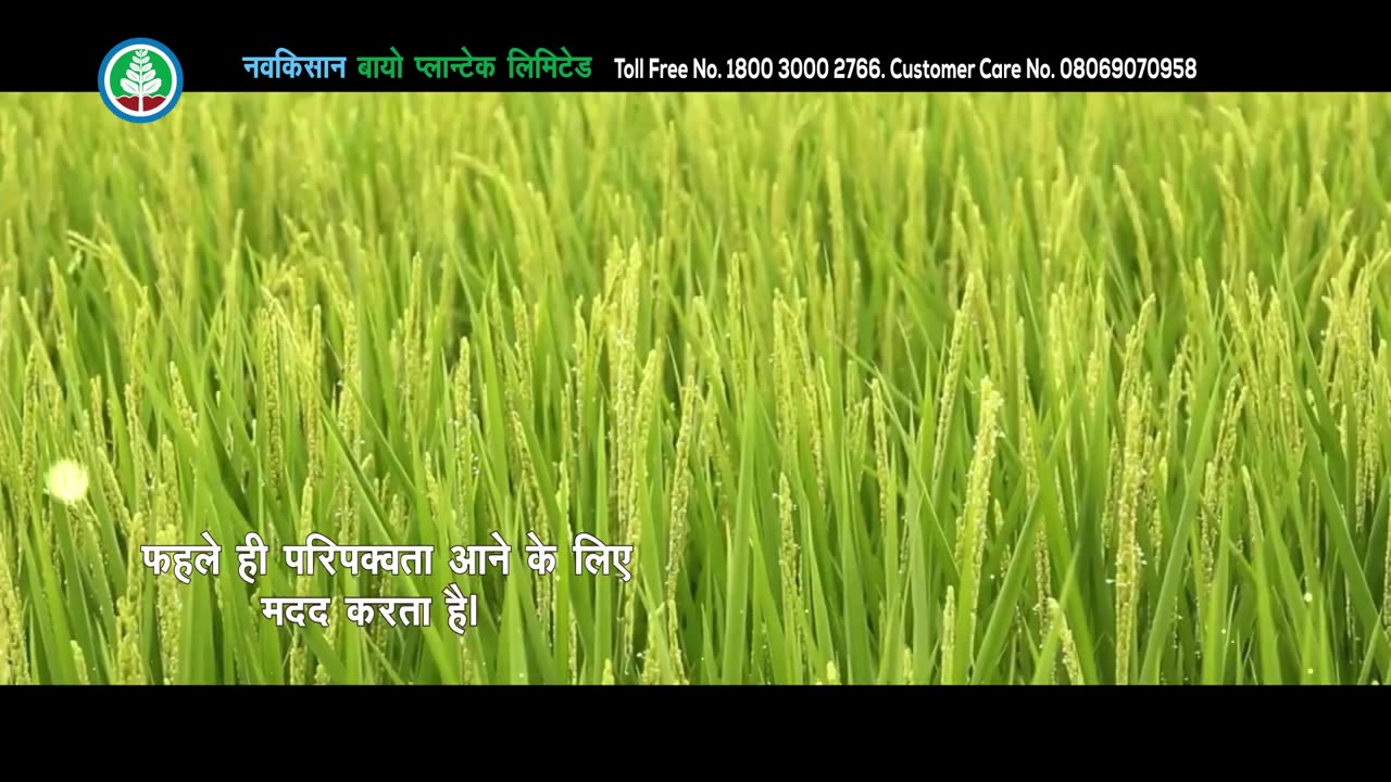 Vingro -G Navkisan bio plantic Ltd product