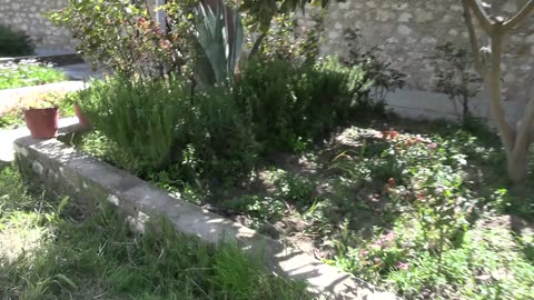 Аполони. крепость звезда в Албании