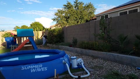 Cleaning Time Lapse Yard - Quick Cleanup