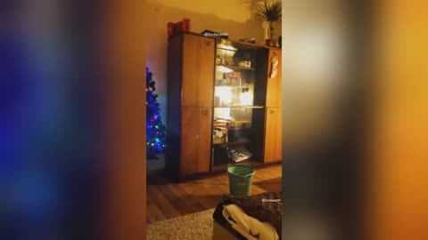 Best Funny Dogs And Cats Videos 😅 - Funniest Animals Videos 2023😇