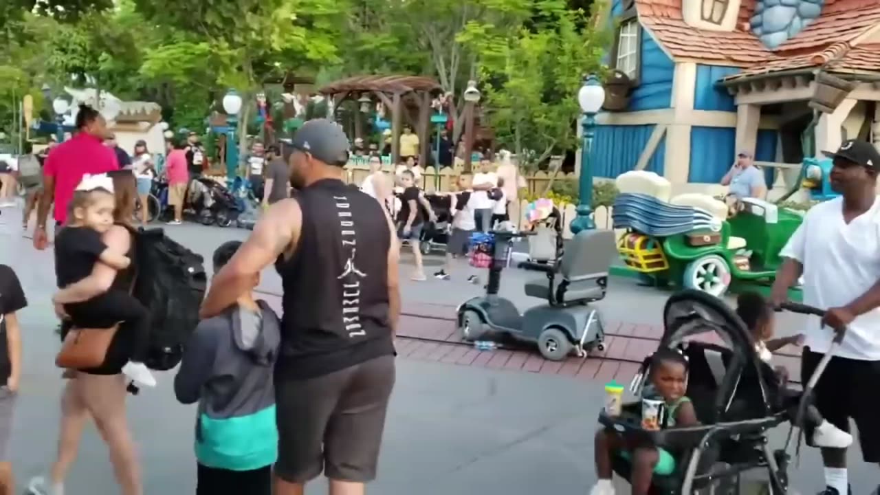 Fight Compilation