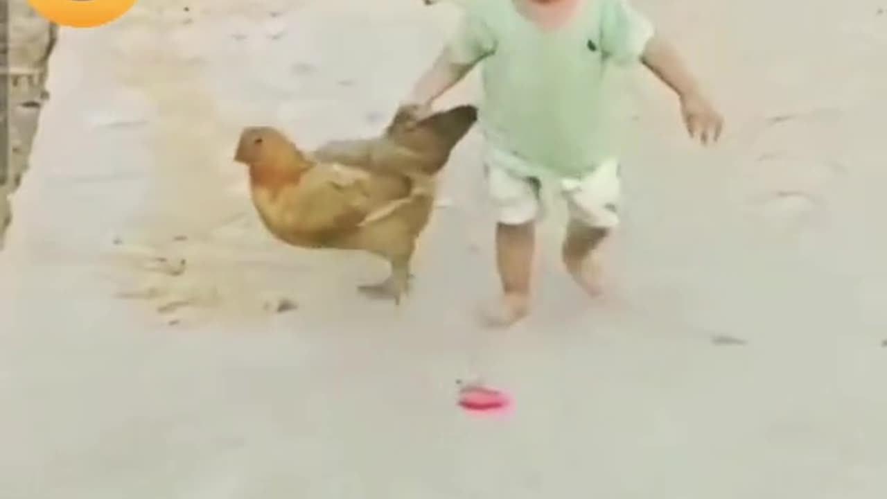 Funny kids funny act with hens