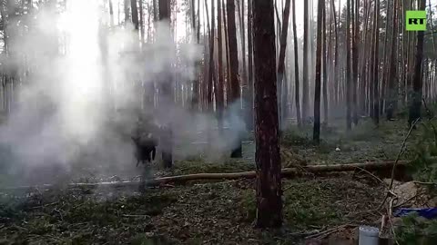 War in ukraine