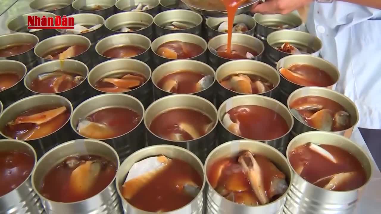 Thực phẩm mới trong bữa ăn chính của lính đảo