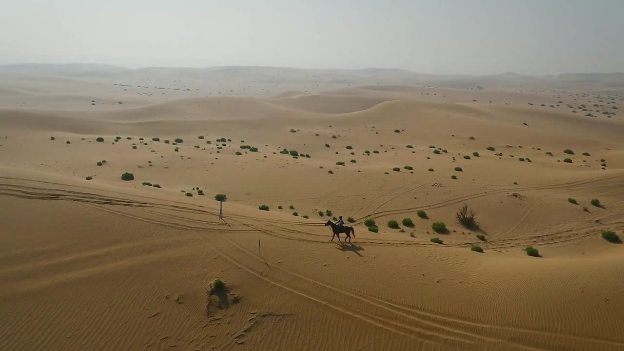 Aerial view of one person riding horse in the desert of Al Khatim in Abu Dhabi