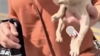 POR MAIS PESSOAS ASSIM NO MUNDO