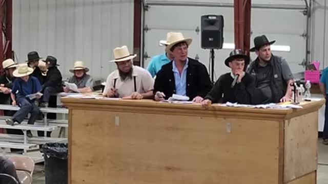 11 yr old auctioneers at Middlefield Ohio standardbred driving horse sale. May 28 2022