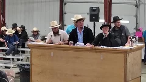 11 yr old auctioneers at Middlefield Ohio standardbred driving horse sale. May 28 2022