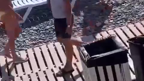 97313425_248861469661525_3289646969259370397_n
