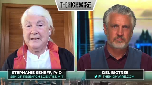 The HighWire with Del Bigtree - MIT SCIENTIST CONNECTS MRNA SHOTS TO BRAIN DISEASE