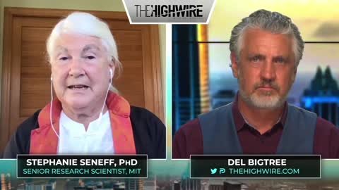 The HighWire with Del Bigtree - MIT SCIENTIST CONNECTS MRNA SHOTS TO BRAIN DISEASE