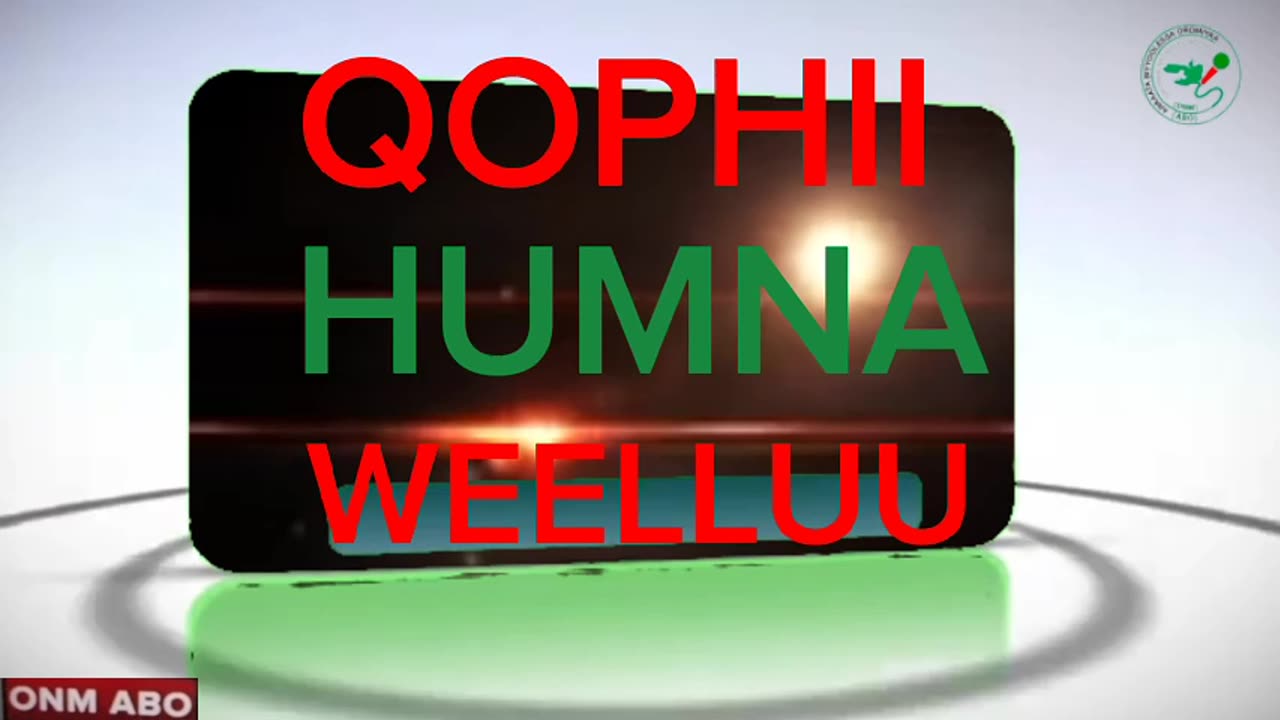 Qophii Humna Weelluu OMN-ABO Waxabajjii 11-2024 itti dhiyaadhaa!