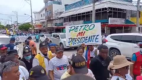 Video: ¿Dau en participación Política?