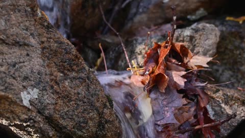 Soulful flowing strem