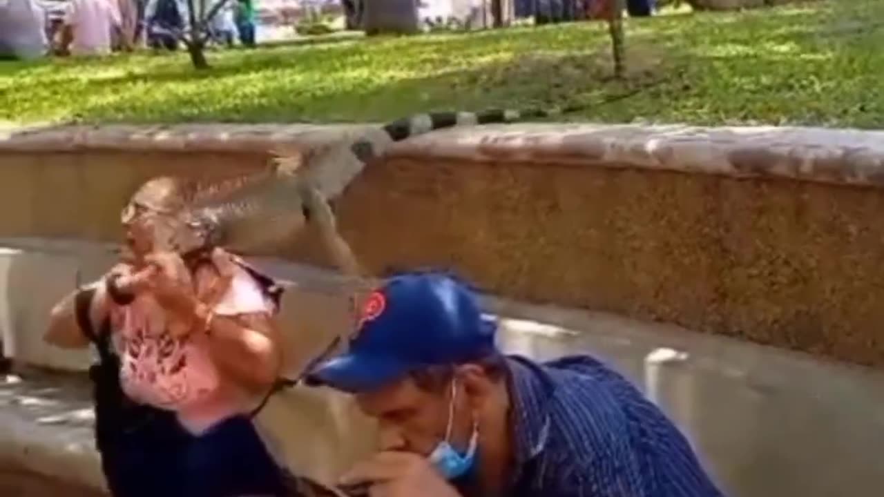 😂😂Funny animal videos😂
