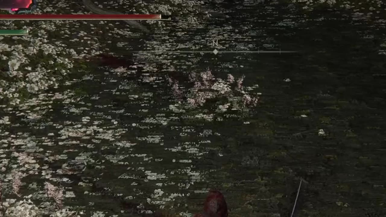 Malenia the rotten one has been defeated | Elden ring | Dex samurai