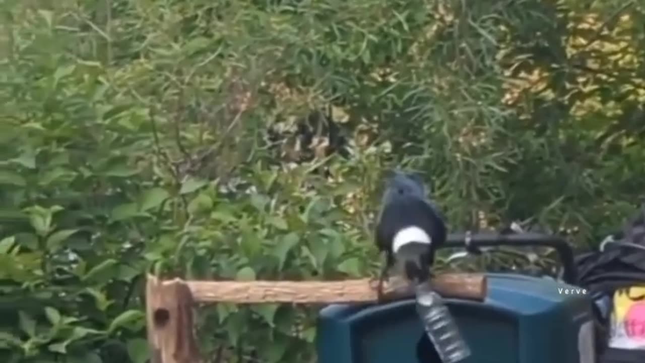 Protect the nature
