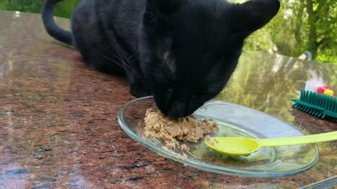 20240410 153642 Tux Eating