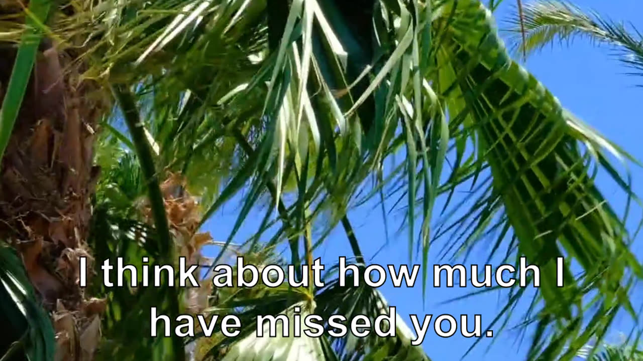 I think about that, too. I think about how much I have missed you. I want to die. But you do no...