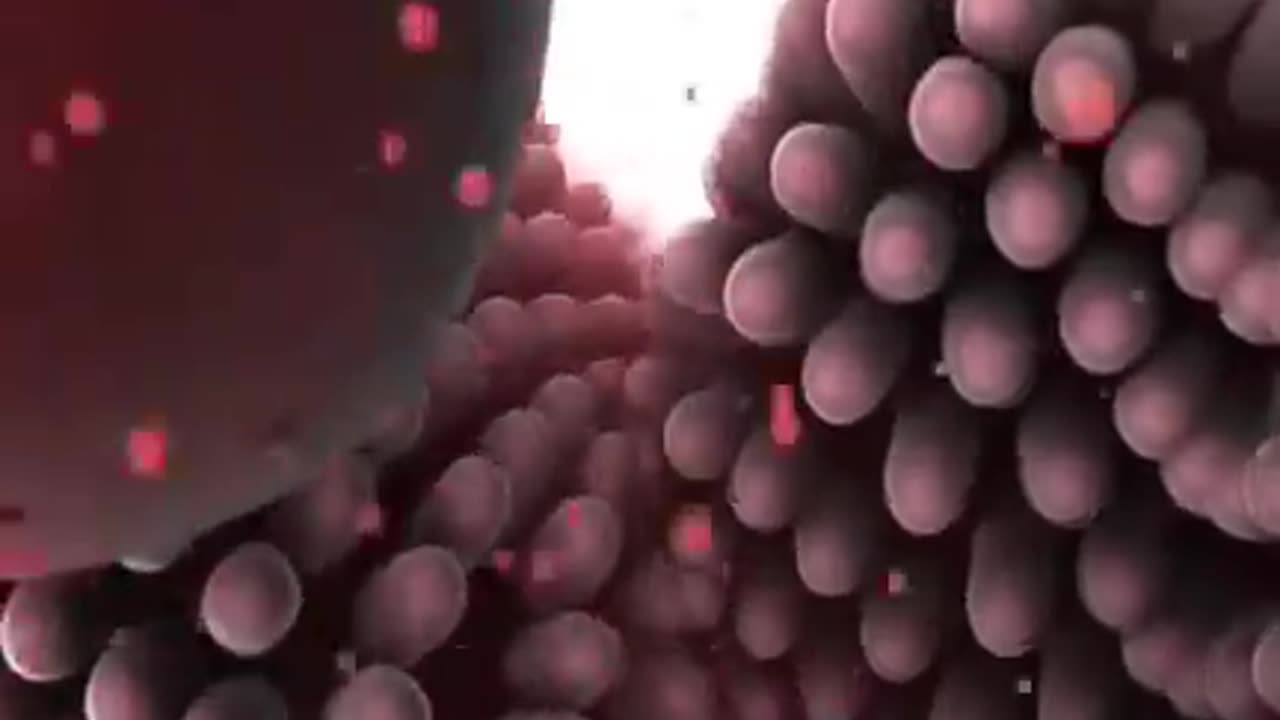 HOW DOES DRUG ABSORPTION OCCUR IN THE HUMAN BODY?