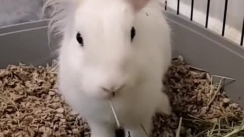 Delicious!! I'm going to keep eating!