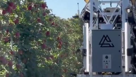 AI Operated Fruit Picker