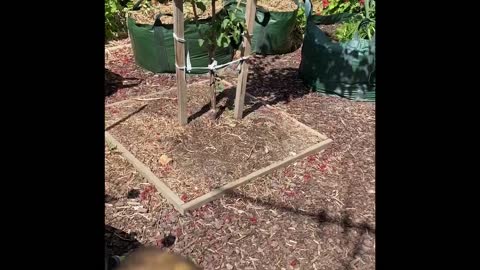 Start preparing where you are at right now using pots, bags, potting mix