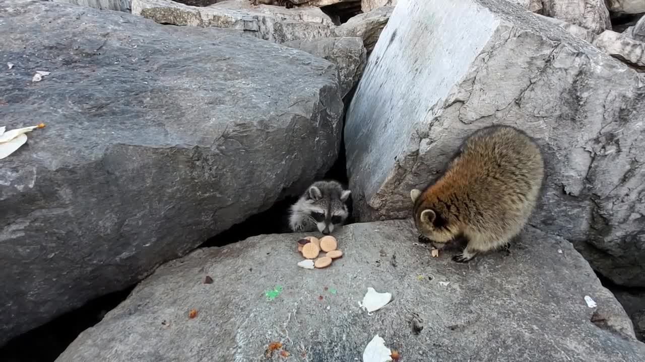 The cookie party goes on...