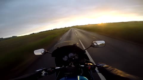 Bird hits my visor